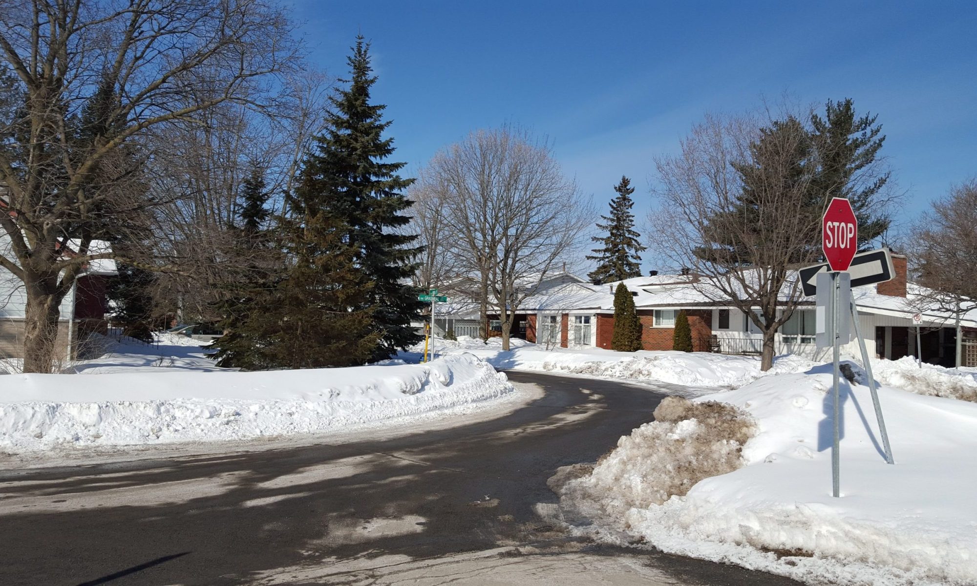 Ottawa Public Library, Alta Vista Branch