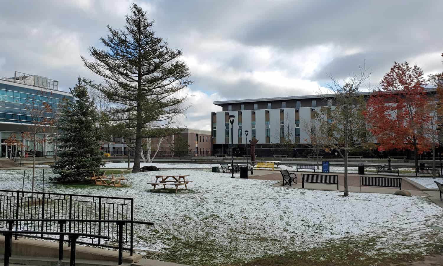 Carleton University Main Quad Capital Modern