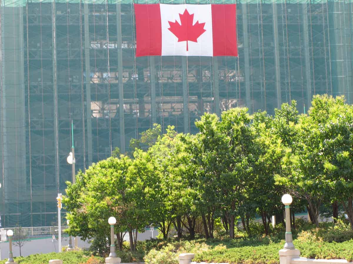 Detail of Elgin Street elevation with light coming through green scaffold screen