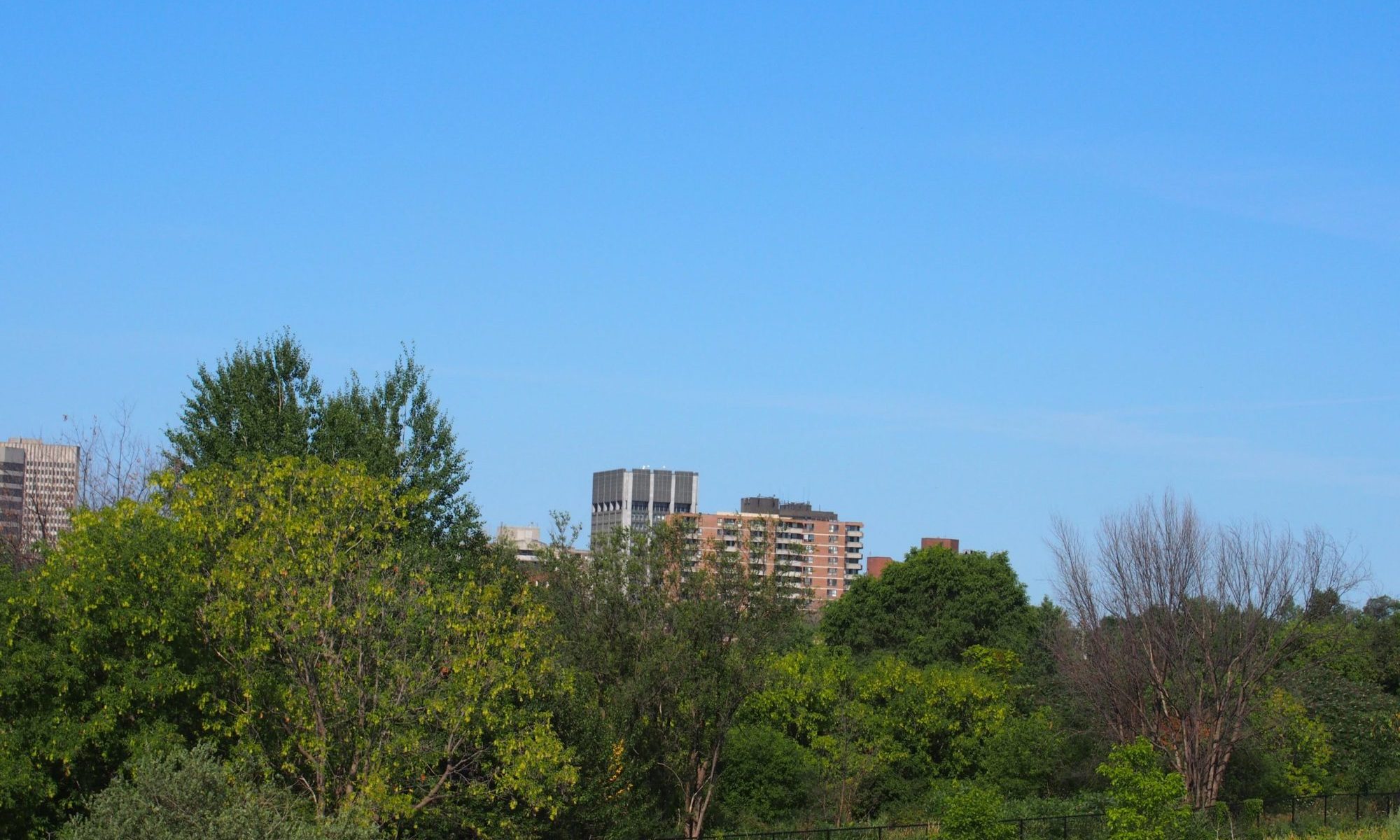 Lebreton Flats