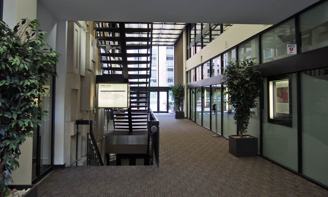 Looking south through the Alley from just inside the Albert Street entry