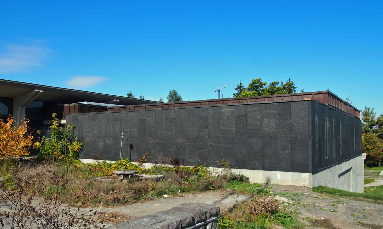 Overgrown landscaping within the entry forecourt to the cafeteria wing