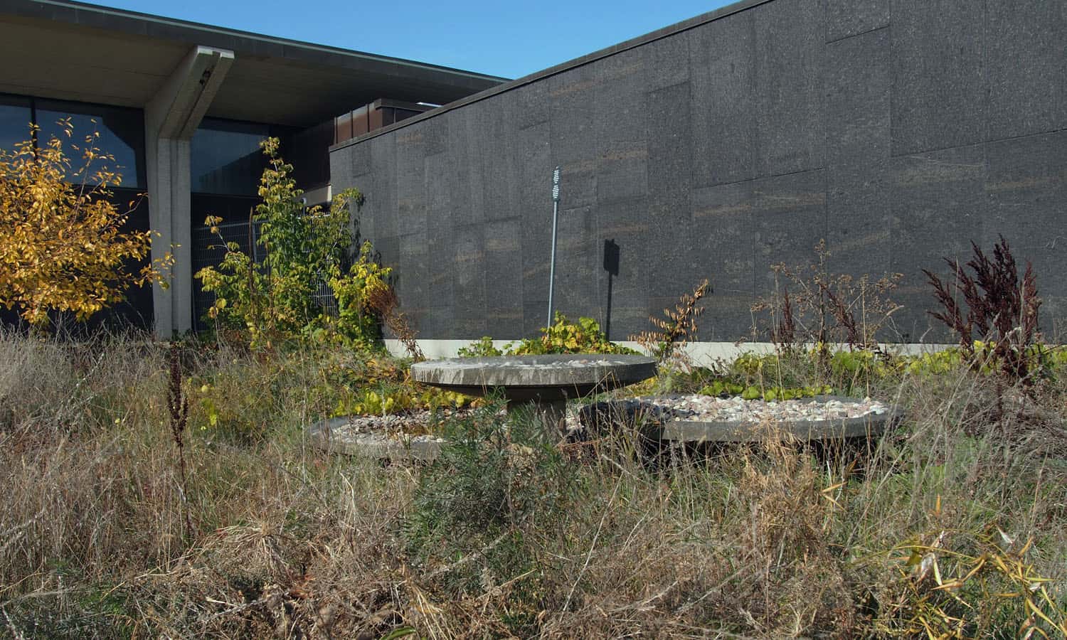 Concrete sculpture with overgrown landscaping in the entry forecourt