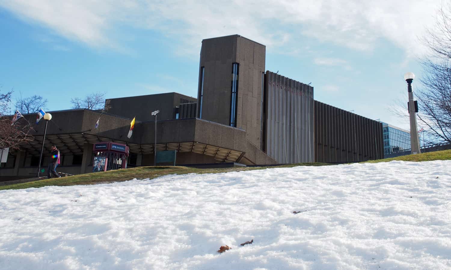 Looking up towards the northeast corner of the building highlighting the relationship between the landscape and building