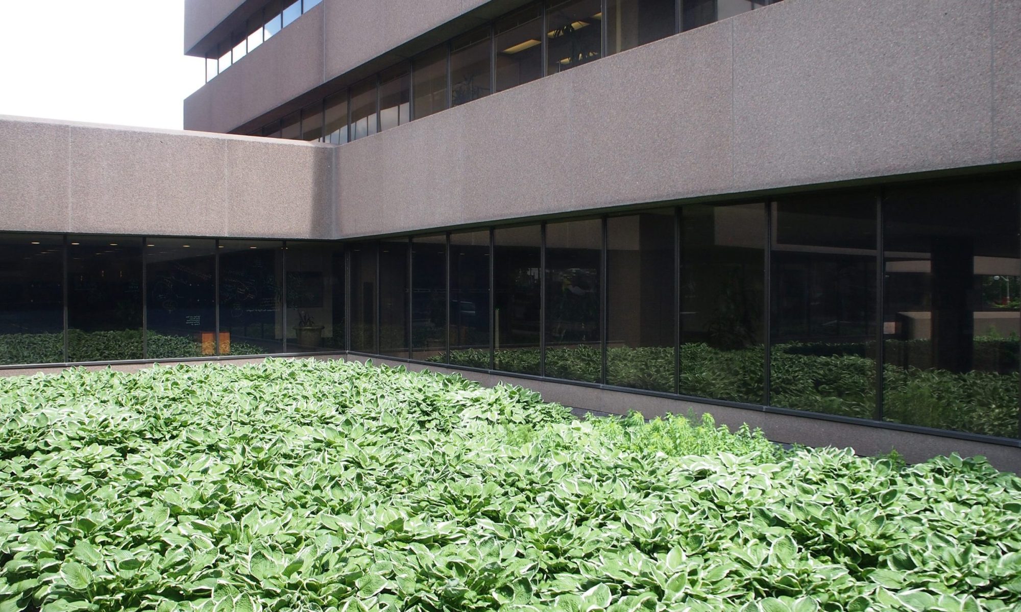 Lester B. Pearson Building